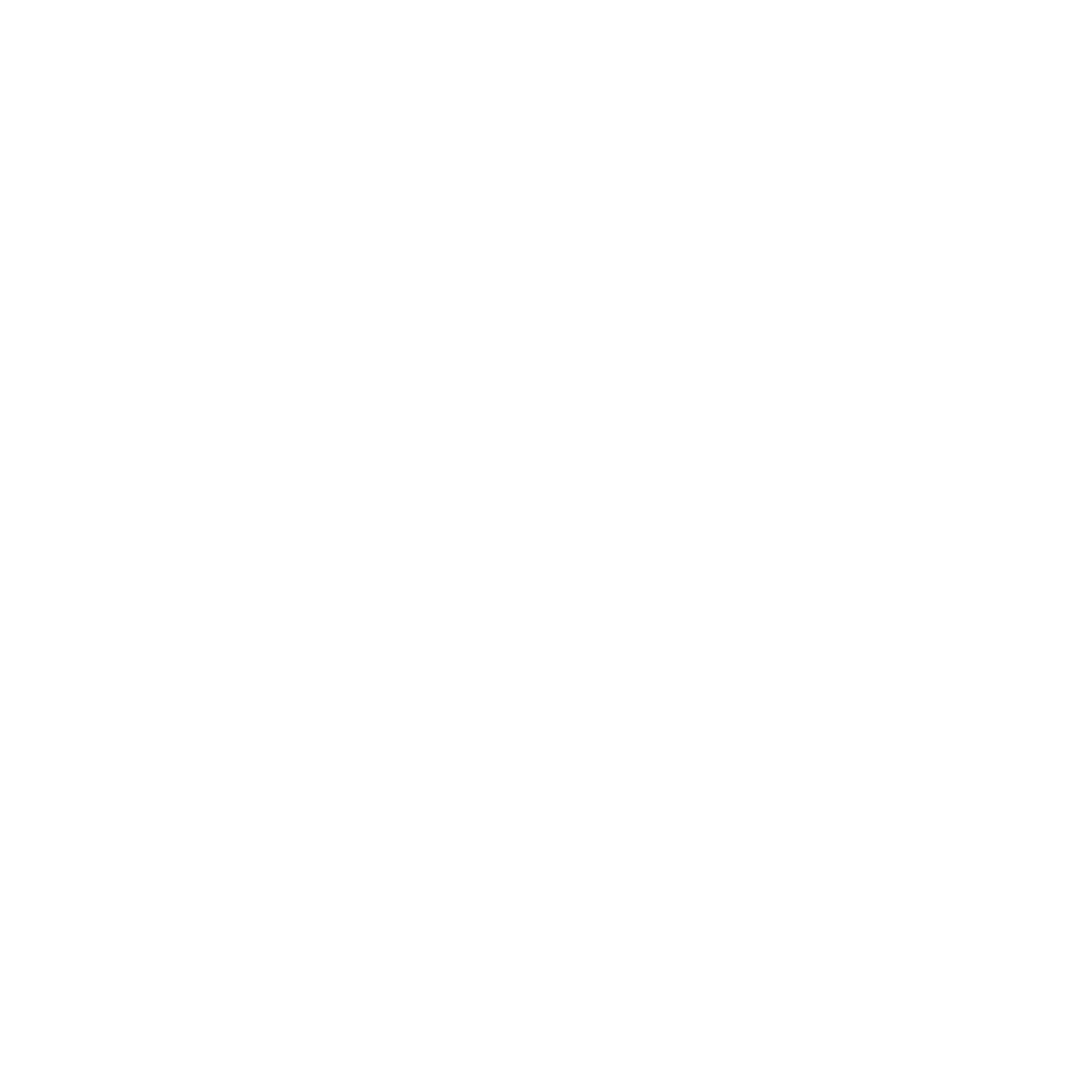 Aviation - Pilots & Air Traffic Controllers